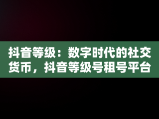 抖音等级：数字时代的社交货币，抖音等级号租号平台 