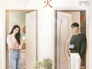 2025最火十部电视剧,2025最火十部电视剧排行榜