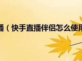 快手直播伴侣户外使用手机摄像头吗?,快手直播伴侣接入摄像头是什么意思