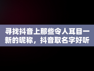 寻找抖音上那些令人耳目一新的昵称，抖音取名字好听的昵称成语四个字 