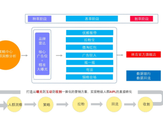 主播说联播传播策略(主播说联播的形式创新)