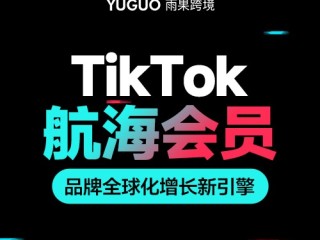 抖音国际版tiktok下载加速器(国际版抖音tiktok下载安装教程 无需root)