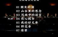 2025最火歌曲,2025最火歌曲超好听的