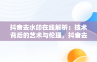 抖音去水印在线解析：技术背后的艺术与伦理，抖音去水印在线解析工具机领网 