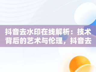 抖音去水印在线解析：技术背后的艺术与伦理，抖音去水印在线解析工具机领网 