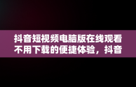 抖音短视频电脑版在线观看不用下载的便捷体验，抖音短视频电脑版在线观看不用下载 