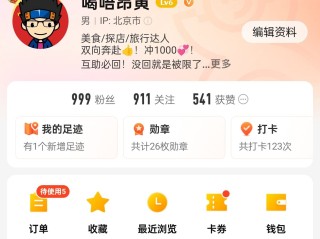 快手粉丝一元1000个不掉粉的简单介绍