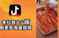 抖音火山版安装包,抖音火山版安装