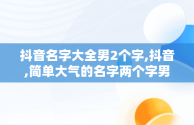抖音名字大全男2个字,抖音,简单大气的名字两个字男人