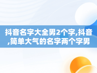 抖音名字大全男2个字,抖音,简单大气的名字两个字男人