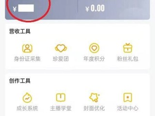 yy直播能赚钱吗,打字赚钱平台 学生一单一结