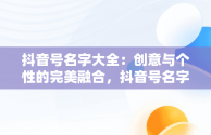 抖音号名字大全：创意与个性的完美融合，抖音号名字大全2020 