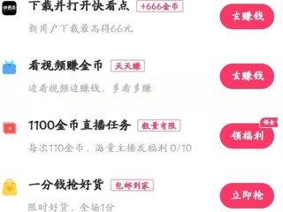 快手极速版挣钱的(快手极速版挣钱的风险有哪些)
