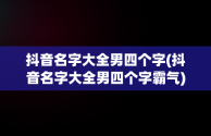 抖音名字大全男四个字(抖音名字大全男四个字霸气)