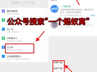 快手网页版(快手网页版官网)