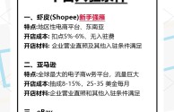 东南亚跨境电商需要多少资金,东南亚跨境电商怎么开店铺