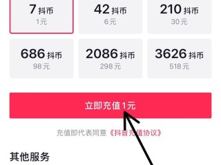 抖音充值官方ios(抖音充值官方充值110)