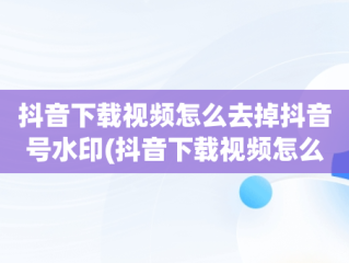 抖音下载视频怎么去掉抖音号水印(抖音下载视频怎么去掉抖音号水印网站)