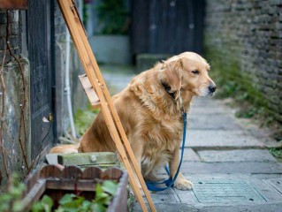 快手老狗真实资料,快手老狗真实资料图片