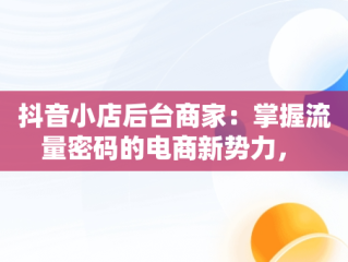 抖音小店后台商家：掌握流量密码的电商新势力， 