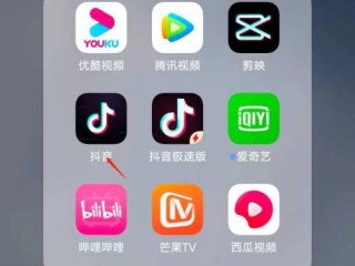 抖音正式版免费下载,抖音下载最新版本