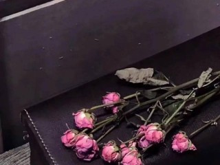 快手短视频观看yujian(快手短视频观看多久会留下浏览记录)