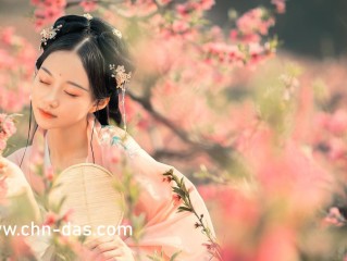 AI人衣替换白鹿造梦视频的简单介绍
