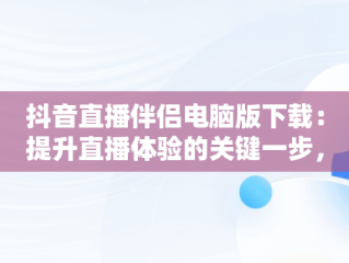 抖音直播伴侣电脑版下载：提升直播体验的关键一步，抖音直播伴侣电脑版下载哪个版本 