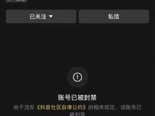 惠子为什么被抖音封号,抖音惠子因为什么凉的