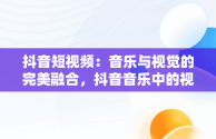 抖音短视频：音乐与视觉的完美融合，抖音音乐中的视频哪里找的 
