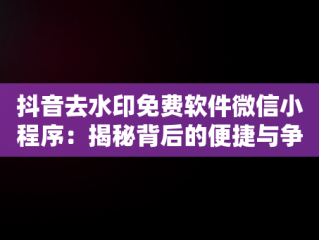 抖音去水印免费软件微信小程序：揭秘背后的便捷与争议，抖音去水印免费软件微信小程序叫什么 
