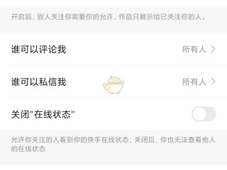 快手极速版怎么设置关注页面的格式(快手极速版怎么设置关注页面的格式呢)