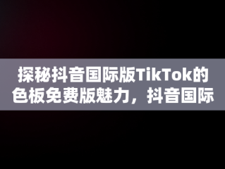 探秘抖音国际版TikTok的色板免费版魅力，抖音国际版 tiktok1.2.0 