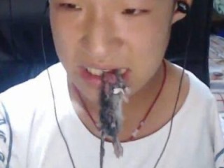 快手百科田斌个人资料,快手百科田斌个人资料图片