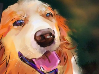 画画软件procreate下载平板,画画软件procreate下载