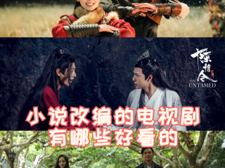 最火的小说改编的电视剧(最火的小说改编的电视剧有哪些)