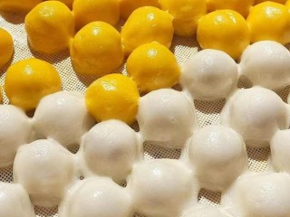 豆包是哪里人(豆包哪里的)