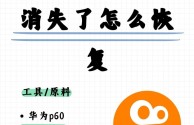 快手恢复删除的作品(怎么恢复快手删了的作品)