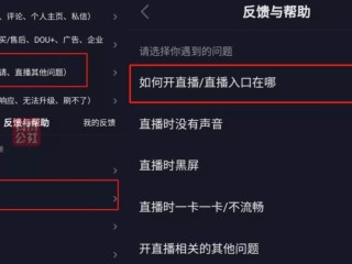 抖音直播怎么赚钱收益怎么计算,看抖音直播怎么赚钱
