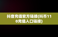 抖音充值官方链接(抖币110充值入口链接)