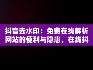 抖音去水印：免费在线解析网站的便利与隐患，在线抖音去水印在线解析网站 
