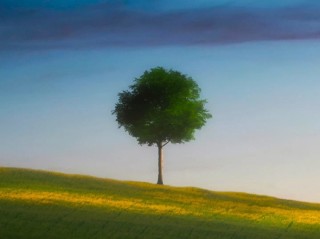 最火壁纸全屏iphone的简单介绍