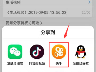 包含快手电脑版在线观看视频护卡小象的词条