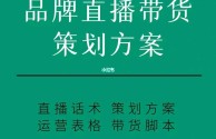 直播带货流程方案怎么写,直播带货流程策划方案