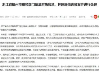 建议公示逃税主播名单,建议公示逃税主播名单怎么写