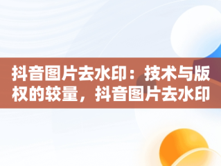 抖音图片去水印：技术与版权的较量，抖音图片去水印解析网址 