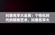 抖音名字大全男：个性化时代的昵称艺术，抖音名字大全男生 
