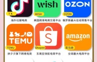 跨境电商有哪些平台可以做视频带货,跨境电商有哪些平台可以做视频