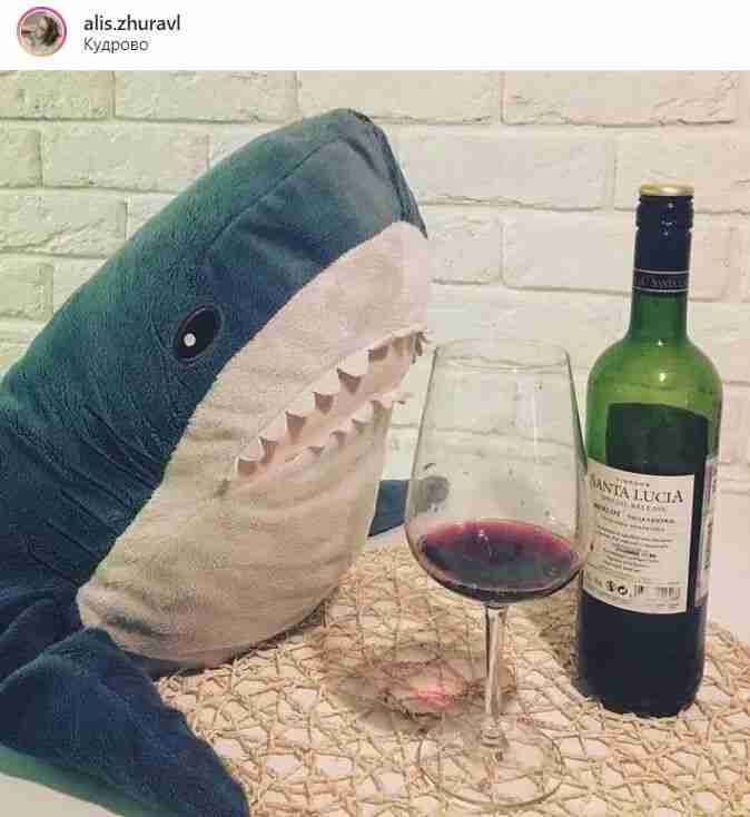 网红吃大白鲨,大白鲨吃饭的视频 网红吃大白鲨,大白鲨吃饭的视频