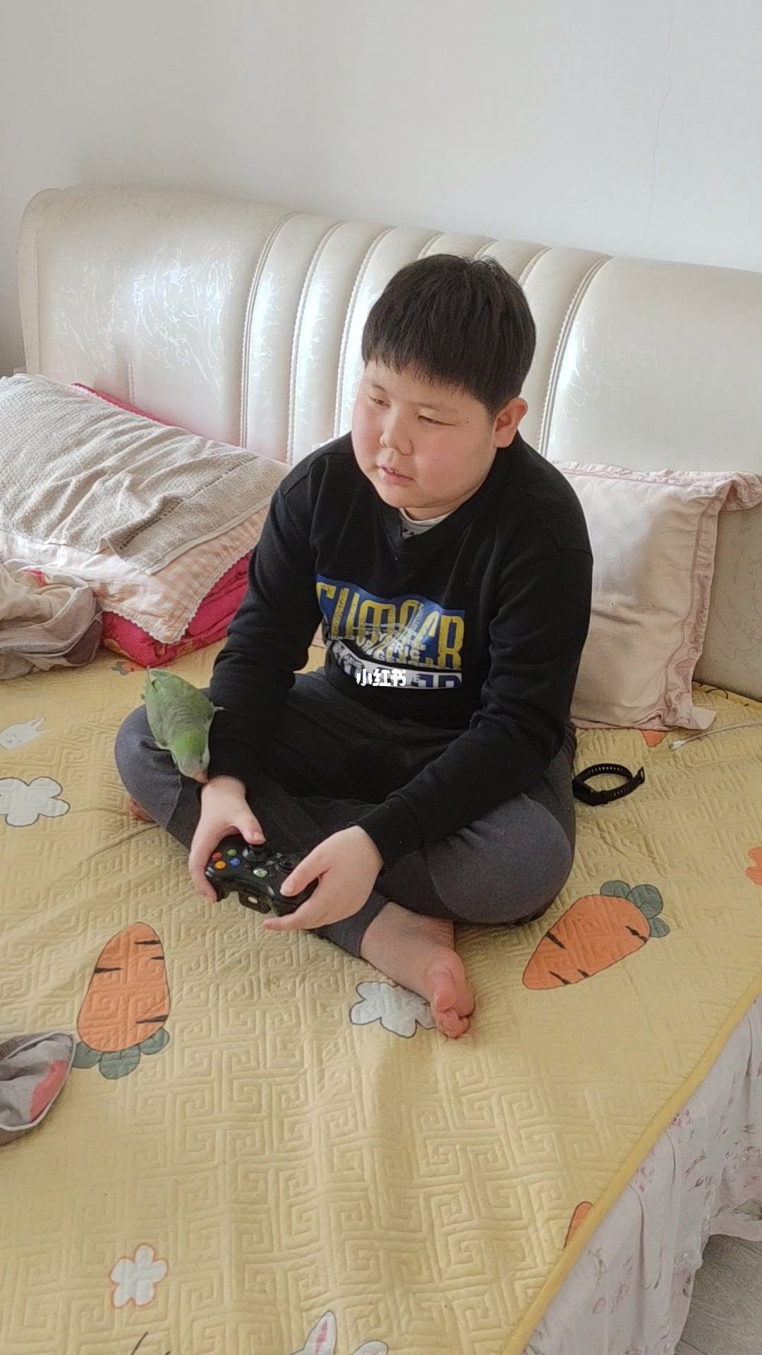 网红小胖男孩叫什么,网红小胖孩表情包